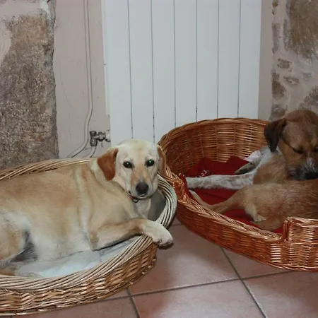 D'hotes Les Blaches